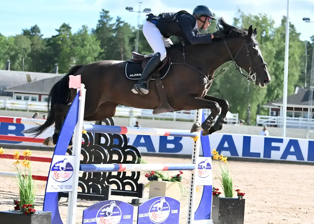 D220be28 Fe33 4208 9593 288febef7612