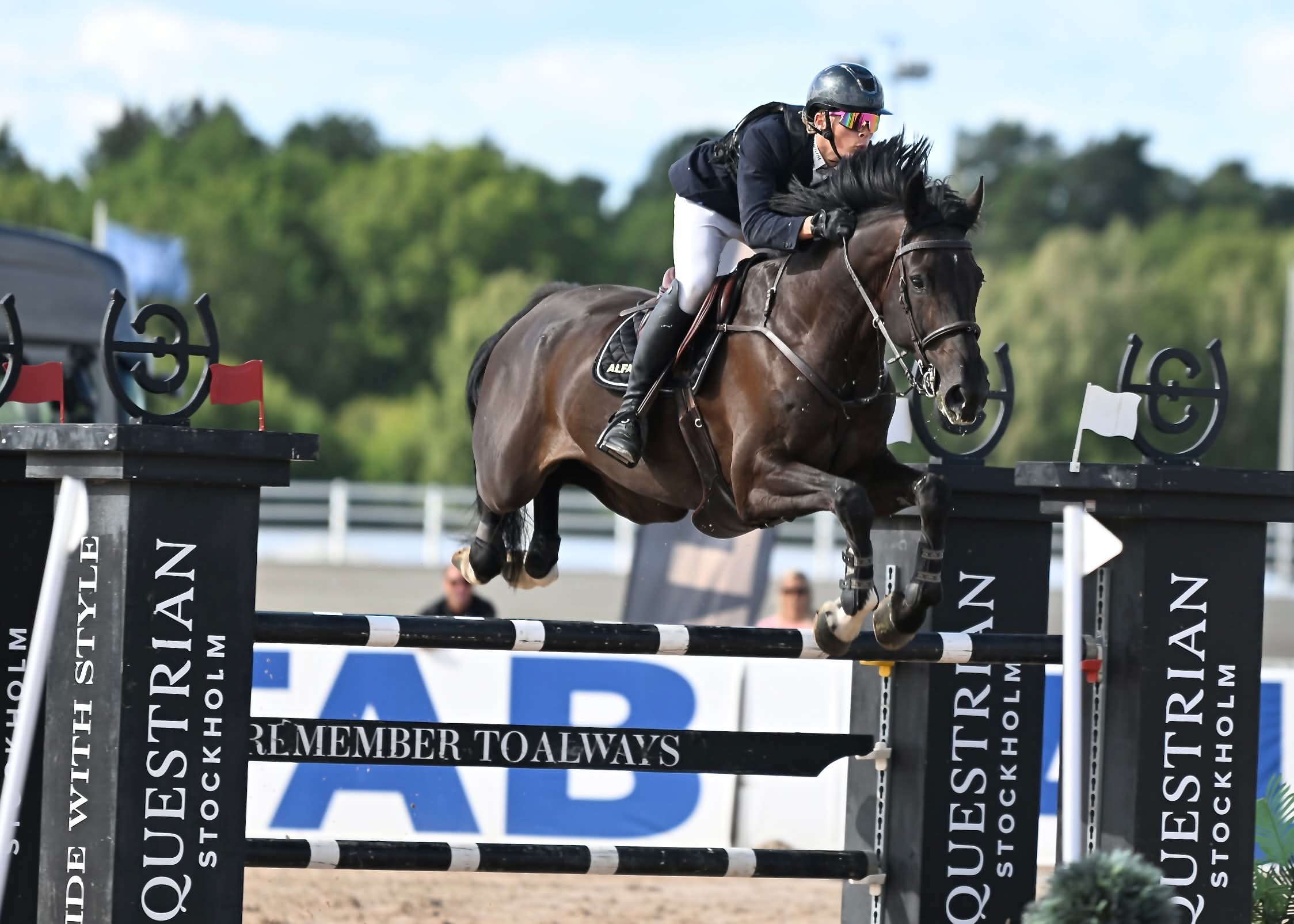 E46b7b46597af9074cf410f9b60ec1ee