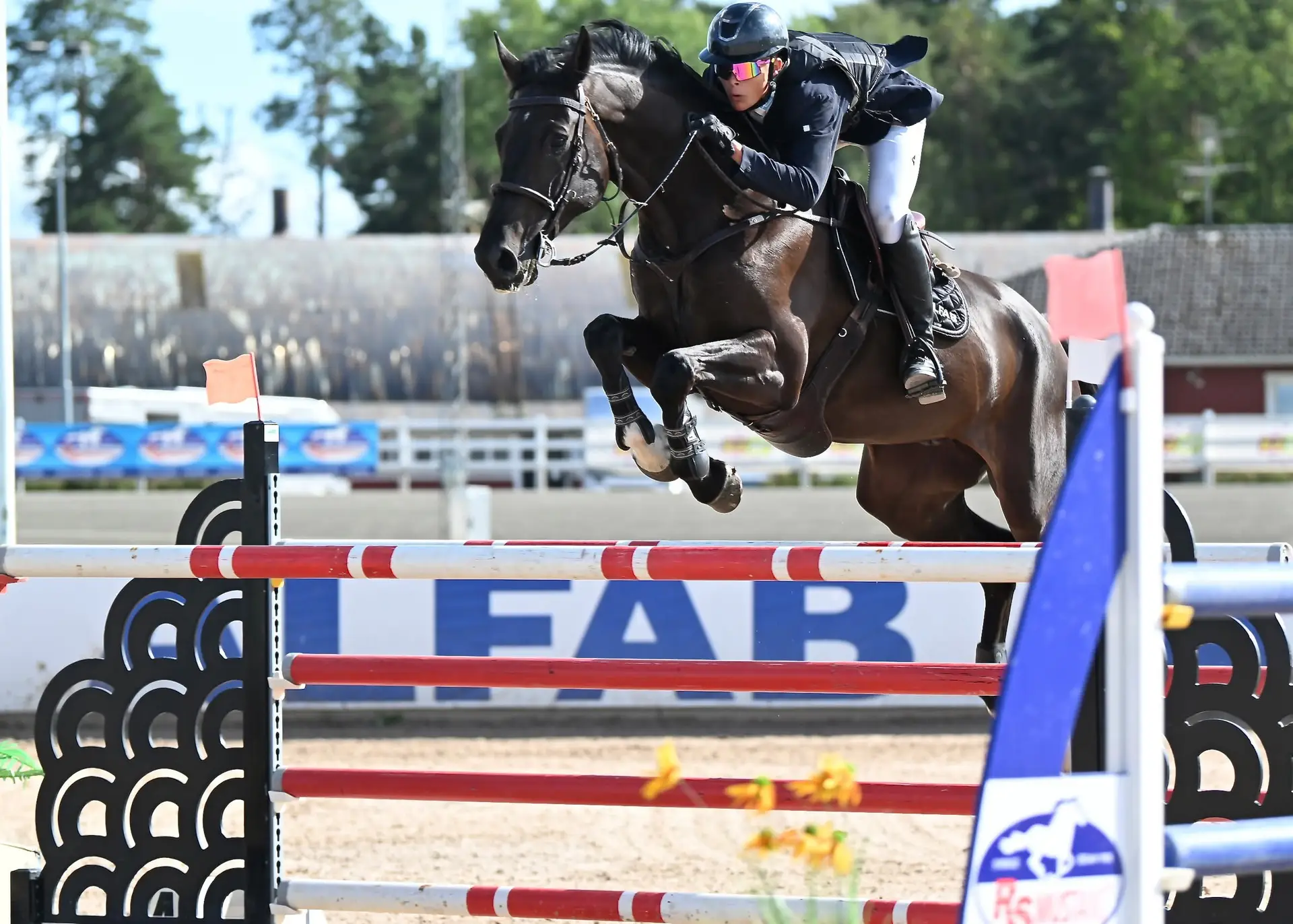 2ee39a5821f8da05cb282df7f21503c8