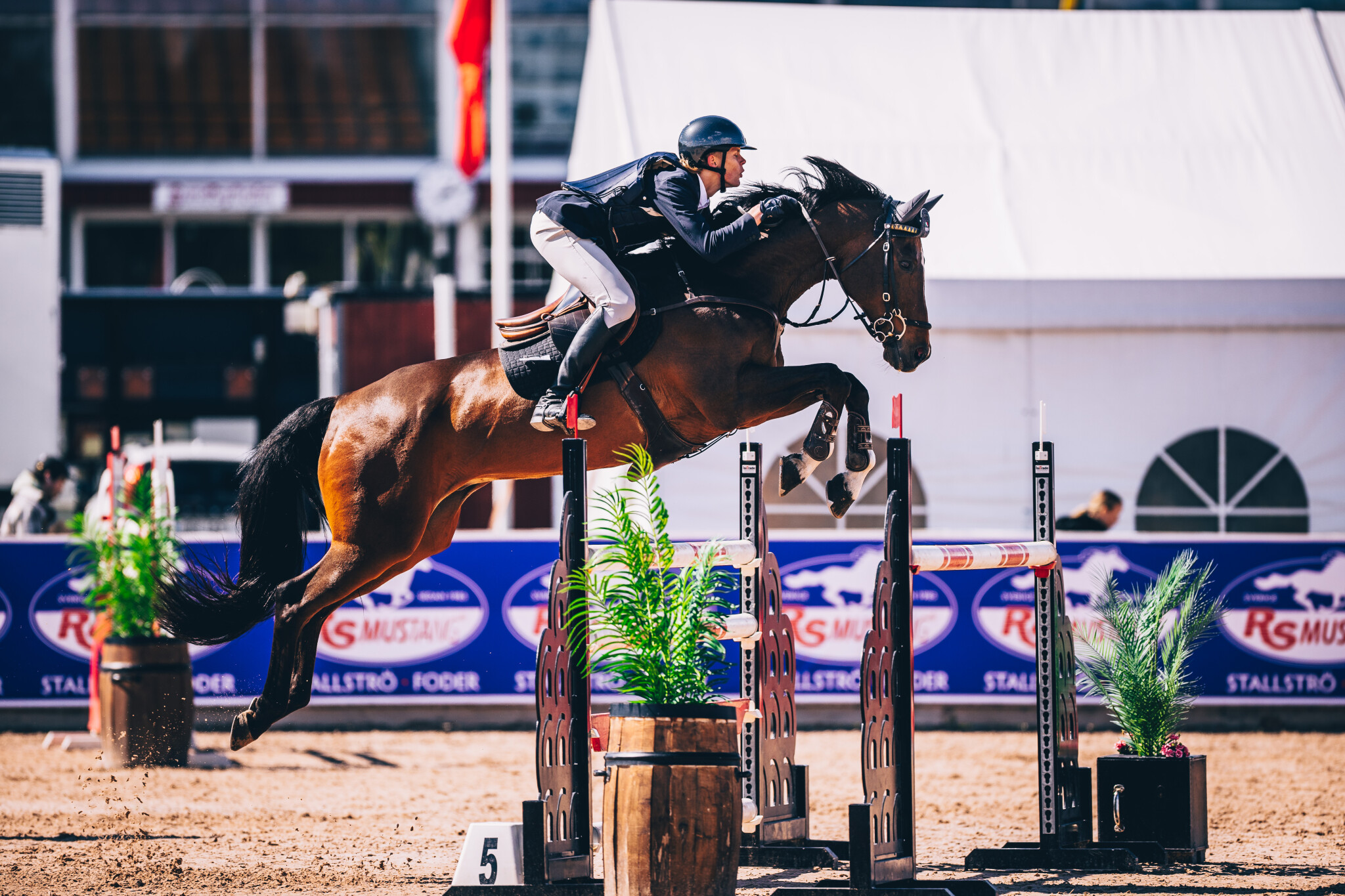 Abi10mLn1P3q8kz8EgubAUWMVTec3fuKmOV6sCMs